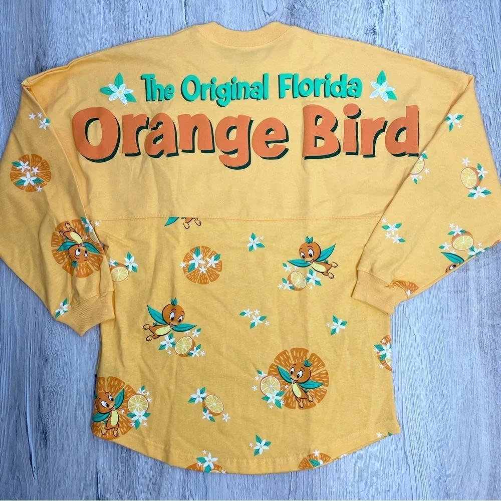 Disney Spirit Jersey - Picture 1 of 7